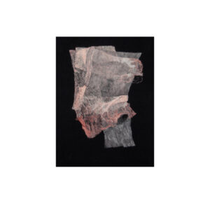 Standard ​| Etalonas © 2O09