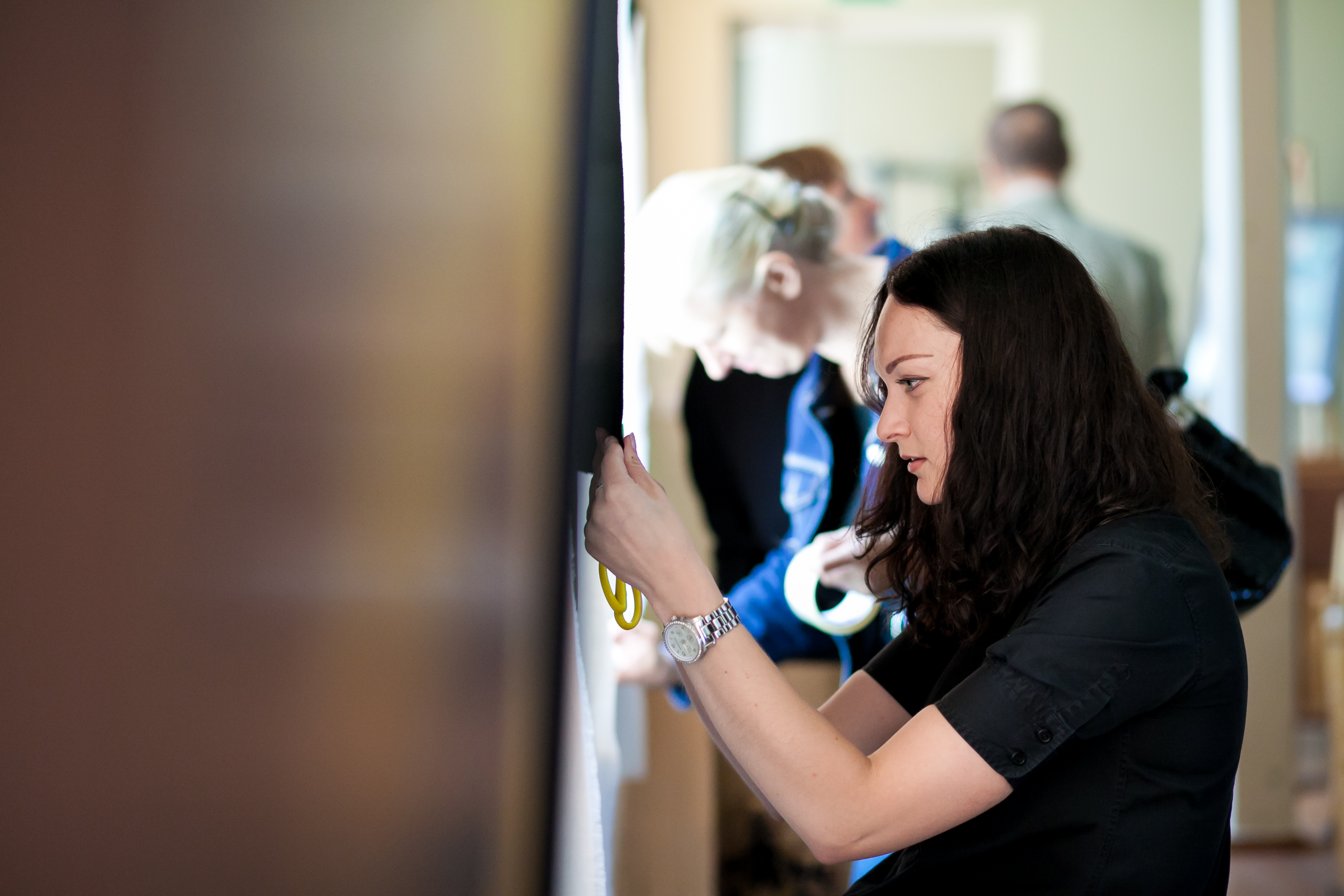 Pasiruošimas parodai