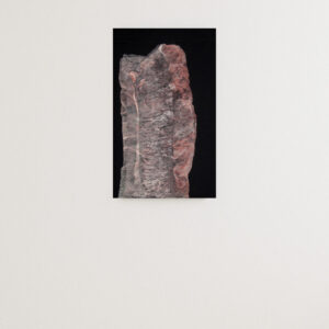 ​ Protect |  Saugo © 2O09